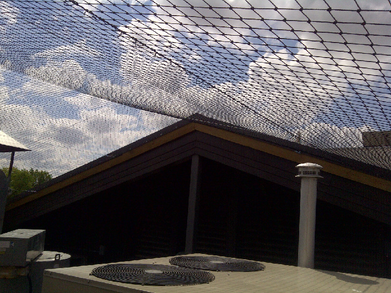 netting